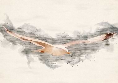 Flying seagull