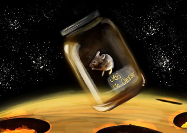 Sgt Mouse Arrived Home