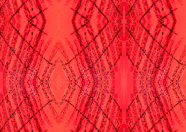 Patterns from Nature