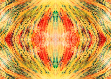 Patterns from Nature