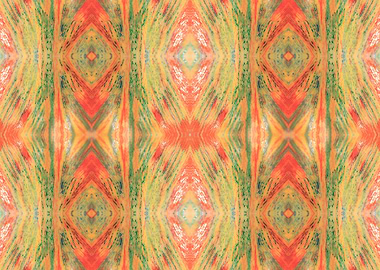 Patterns from Nature