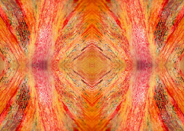 Patterns from Nature