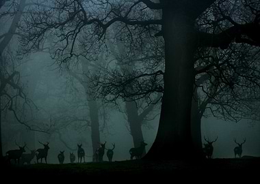 Deer in the Mist