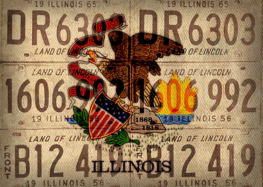Illinois State Flag Art