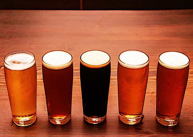 Beer Selection 3 Painting