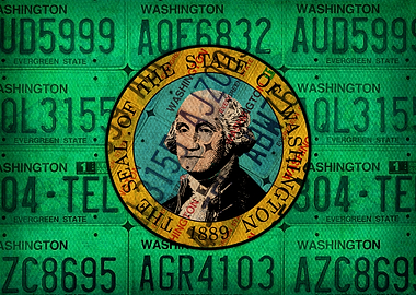 Washington State Flag Art