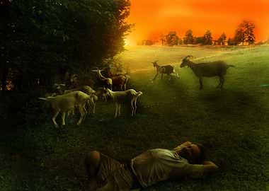 Landscape with goats