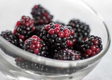 blackberries