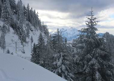 Swiss Winter