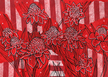 Red Ginger Torch Flowers