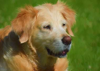 Golden retriever artwork