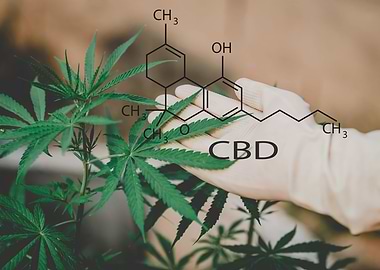 Formulation of the CBD