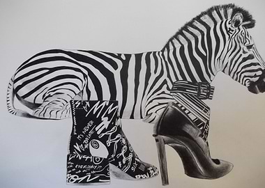 Zebra and shoes