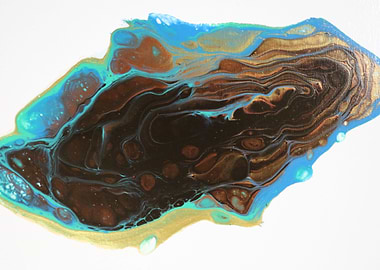 Agatized Coral Fossil