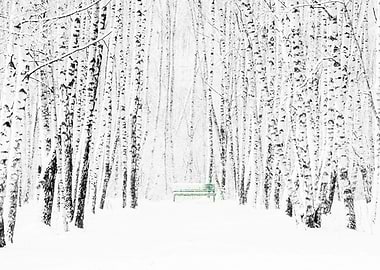 White Snow Green Bench