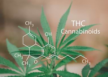 CBD Structural Formula