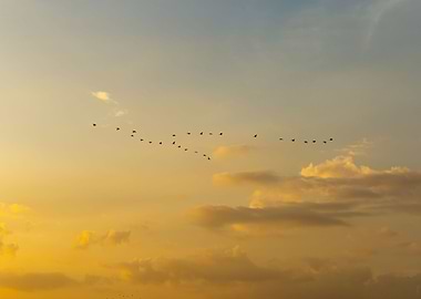 Beautiful sunset sky