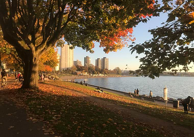 Vancouver Fall
