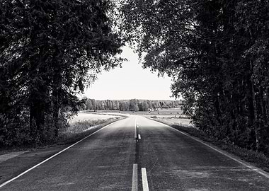 Curvy Road Under The Trees