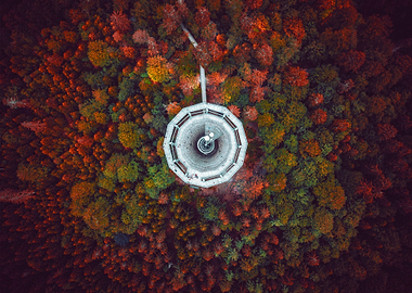 World From Above