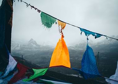 After The Snow Falls