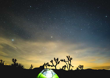 Camping at Joshua Tree