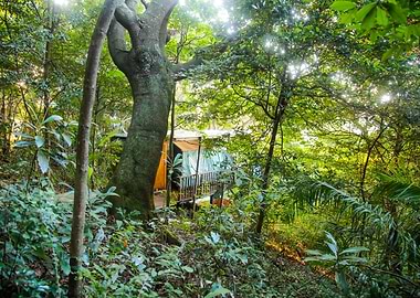 Gods Window South Africa