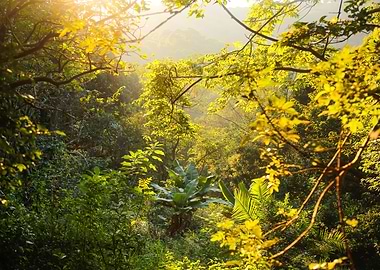 Gods Window South Africa