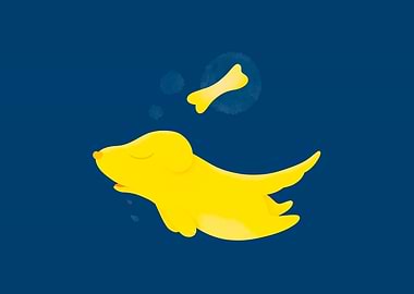 yellow baby labrador