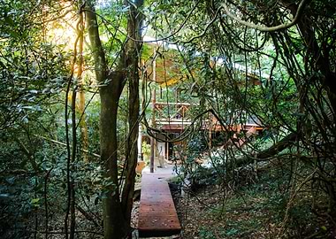 Gods Window South Africa