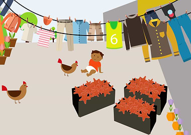 Starfish collections