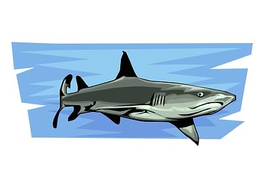 shark