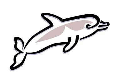 dolphin