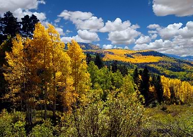 Autumn in New Mexico