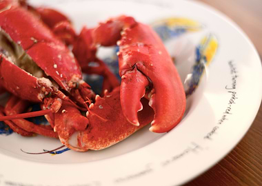 Lobster