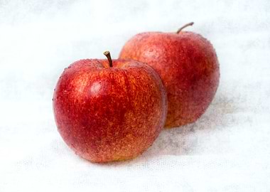 Two Red Apples On White
