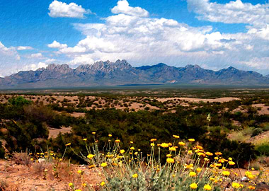 Organ Mountain Splendor