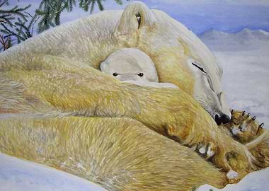 Mum and cub Polar bears