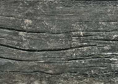 Wood texture background
