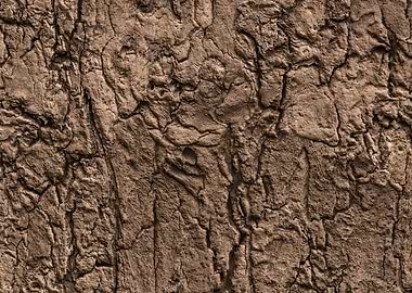 Wood texture background