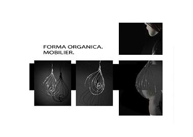 ORGANIC FORM
