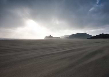 Wind Swept Bethels Beach