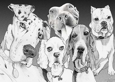 Who let the Dogs out