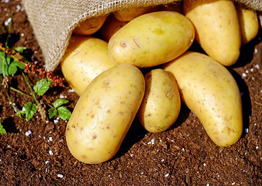 Potatoes