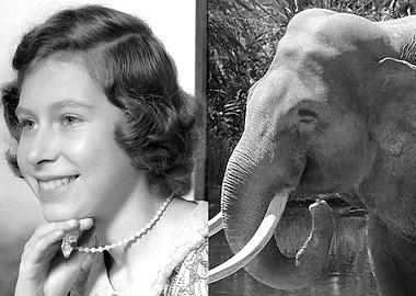 Practical Philosophy