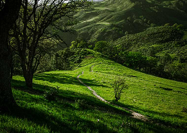 Figueroa Mountain Trail