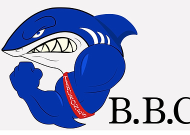 Tiburones de la Guaira