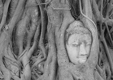 Buddha statues and temples