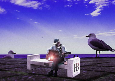 Concert For Seagulls