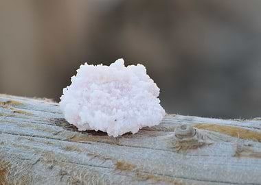 Pink Salt Crystal Ukraine